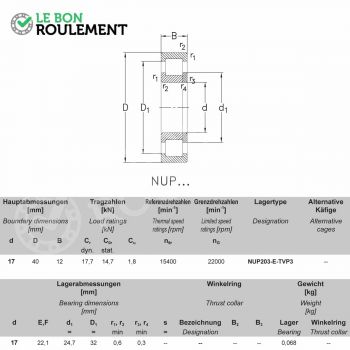 Le modèle de Roulement à rouleaux cylindriques NUP203-E-TVP3-NKE - NUP203-E-TVP3-NKE