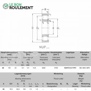 Le modèle de Roulement à rouleaux cylindriques NUP213-E-M6-NKE - NUP213-E-M6-NKE